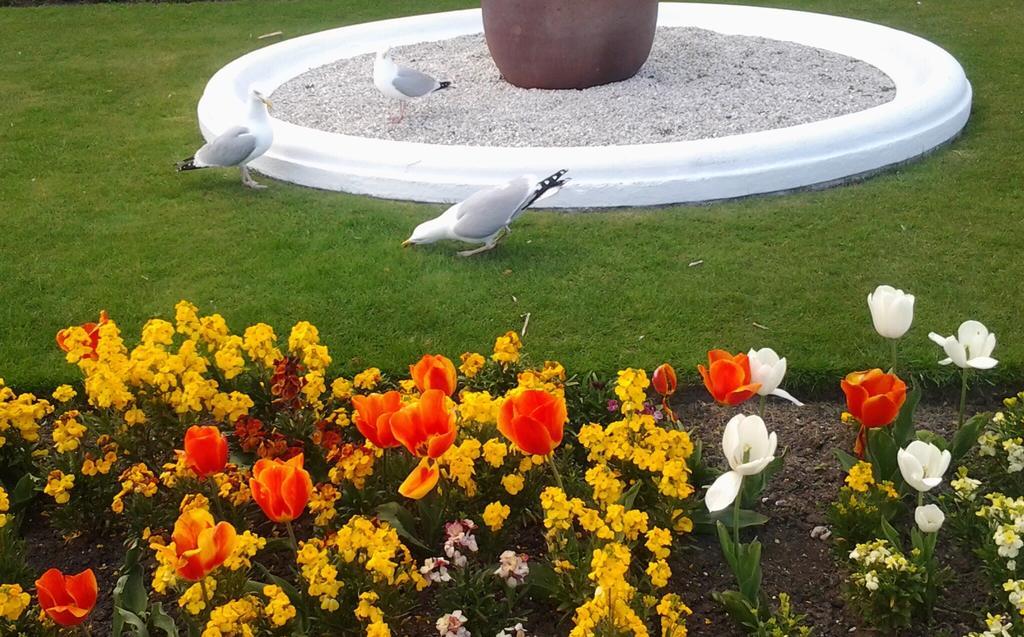 Sterling Lodge Hotel Eastbourne Bagian luar foto